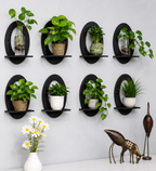 Wooden Wall Shelf Hanging Shelves Oval Shape For Wall Art Home & Office Decor Engineered Wood (Black)