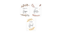 Motivational phrases with leaf designs on a white background