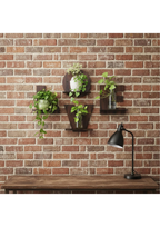 Wooden Wall Shelf wall decor displayed in Living Room